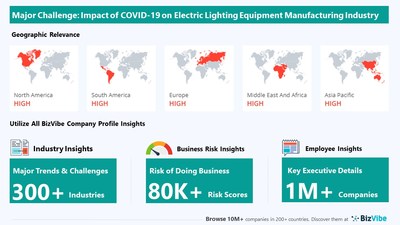Snapshot of key challenge impacting BizVibe's electric lighting equipment manufacturing industry group.