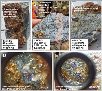 Figure 3. Hapa rock samples and mineralization styles. (CNW Group/Luminex Resources Corp.)