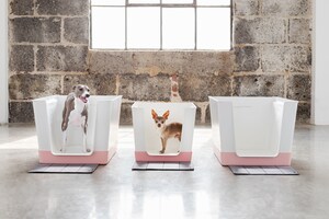 Doggy Bathroom Reaches Over 50% of Their Goal on Kickstarter in the First Day