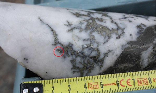 Unable to view the image, Please provide a valid URL.