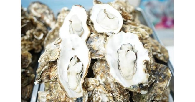 The Promotion Ceremony for the 6th Rushan Oyster Culture Festival in Weihai gets underway in Jinan