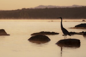 Journée des parcs nationaux 2021 - Une invitation à découvrir l'envers du décor