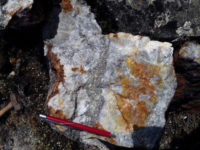 Figure 2: Sample 167041, example of the Annick Style Samples: Grey quartz with veins of massive pyrite and arsenopyrite. Sample reported 49.5g/t Au - Note that grab samples are selective by nature and values reported may not be representative of mineralized zones. (CNW Group/Orford Mining Corporation)