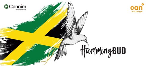 HummingBud – the Jamaican medical cannabis flower (PRNewsfoto/Cantourage)