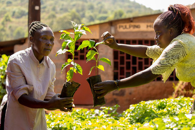 Fairtrade farmers and workers across the world have shared that climate change is an immediate threat to their livelihoods, and to products loved around the globe, like coffee, cocoa and bananas. In an open letter to world leaders, 1.8 million Fairtrade farmers and workers are calling for action, including these farmers, pictured in Kenya. Consumers worldwide are invited to raise the voices of farmers by signing a petition leading up to the COP26. Credit Fairtrade Netherlands and Fairtrade