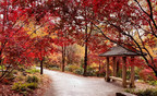 A magical experience awaits at Gibbs Gardens' Japanese Garden