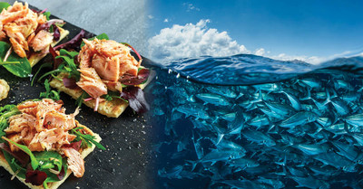 October is National Seafood Month and the perfect time for Americans to come together and enjoy certified sustainable seafood. During October, and year-round, consumers can look for the MSC blue fish label on frozen products, as well as in the canned aisle, fresh case, supplements department and petfood aisle to support the people working toward a big blue future.