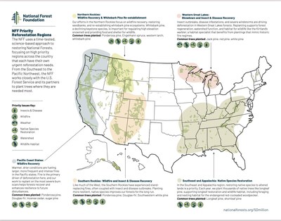 New Leaves for Recovery National Forest Foundation Tree Planting Map