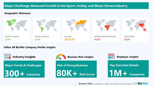 Snapshot of key challenge impacting BizVibe's sport, hobby, and music stores industry group.