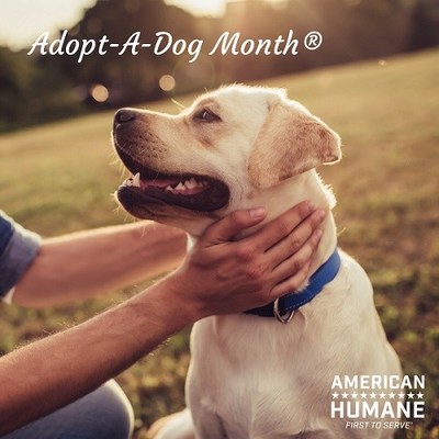 Save a life during American Humane's "Adopt-a-Dog Month"