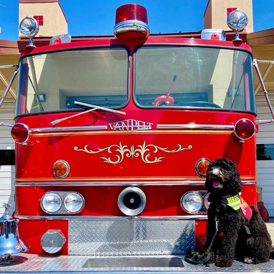 Birdie, of CAL FIRE, has been named Kidde’s Fire Service Dog of the Year.