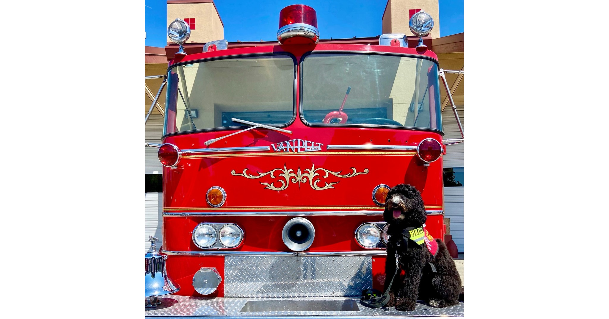 On National Fire Pup Day, Kidde Announces Its First Fire Service Dog of