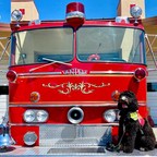 On National Fire Pup Day, Kidde Announces Its First Fire Service Dog of the Year