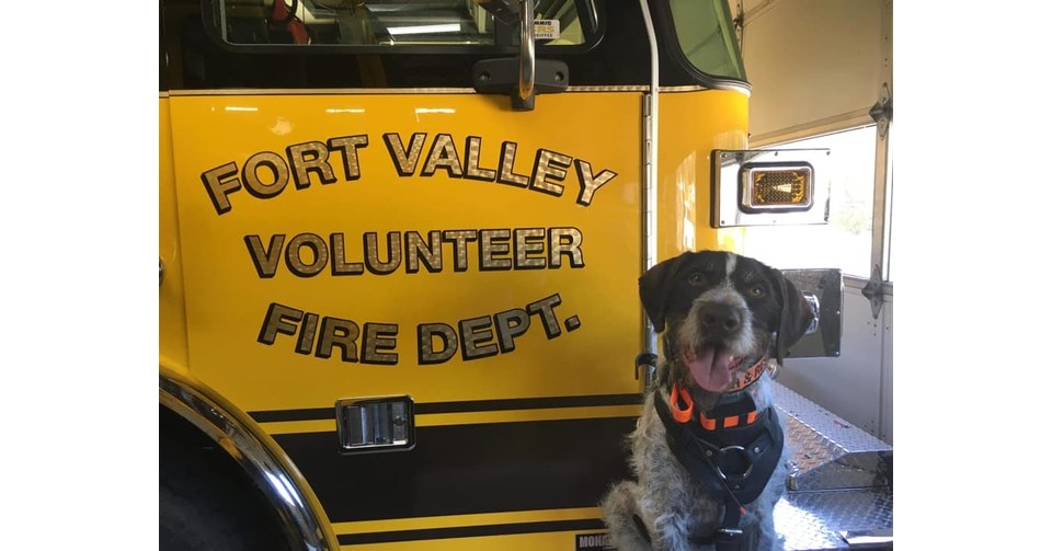 On National Fire Pup Day, Kidde Announces Its First Fire Service Dog of the Year