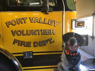 Merle Haggard, of the Fort Valley Fire Department in Virginia, is a runner-up in Kidde’s Fire Service Dog of the Year contest.