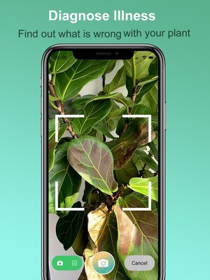 Be The Plant Parent You've Always Wanted to Be with This Plant Identification App: Plantility Plant Scanner