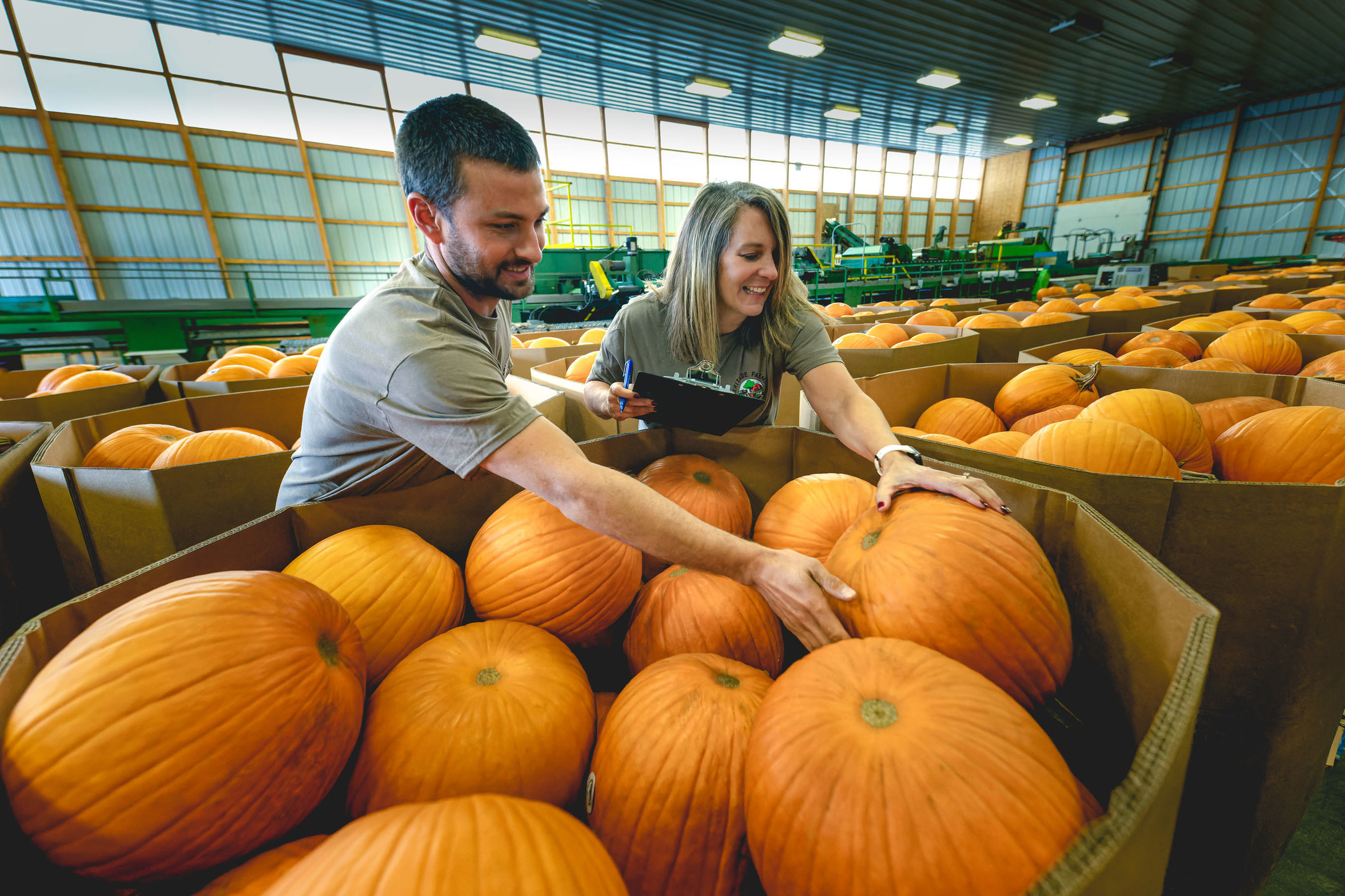 Meijer Strengthens Commitment to Local, Offers Freshest Pumpkin