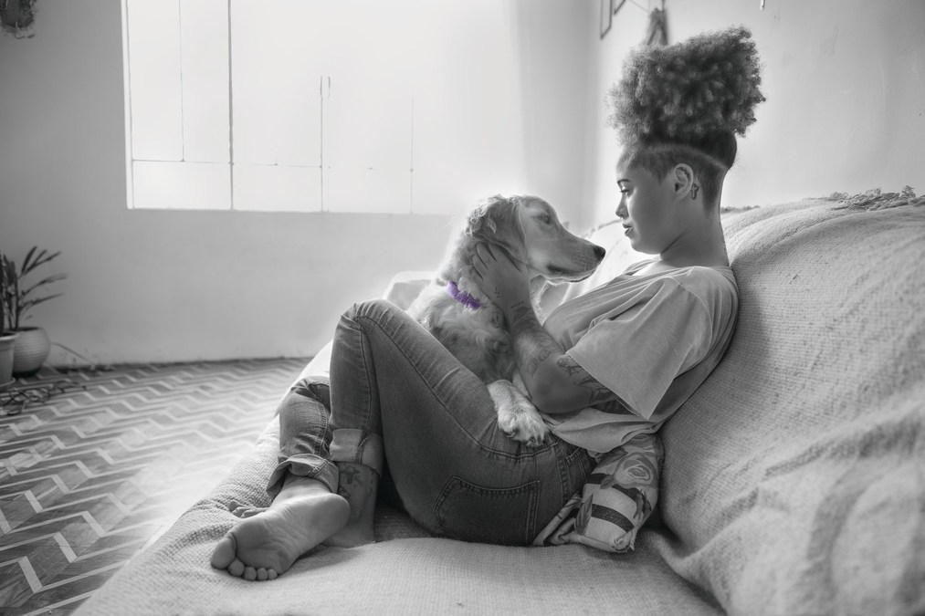 Tamron Hall Joins Purina And RedRover To Urge Awareness And Action For Domestic Violence Survivors With Pets This October - Vimarsana News