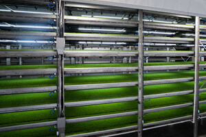 CubicFarm Systems Announces New HydroGreen Certified Dealer Network