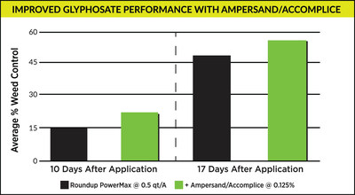 Ampersand and Accomplice adjuvant increases glyphosate performance, even at low use rates.