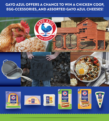 Celebrate Gayo Azul Cheese and Win a Chicken Coop