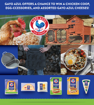 Enter the Gayo Azul Blue Rooster Chicken Coop Giveaway!