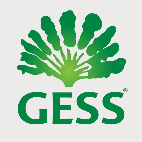 GESS International School Marks Significant Milestones With Award