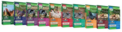 Cargill launches poultry feed with essential oils for healthy flocks and maximized egg production