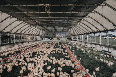 Perdue Farms, the industry leader in animal care, is expanding the number of chickens it will raise on pasture, making it the only large-scale producer to guarantee that poultry products with a “pasture-raised” label have spent the majority of their lives on pasture.