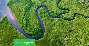 Latest research from Schneider Electric suggests most large organizations don't know how to take meaningful climate action