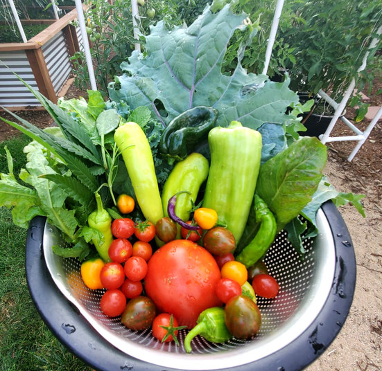 For Everything That Grows, There's Key To Life Supply!