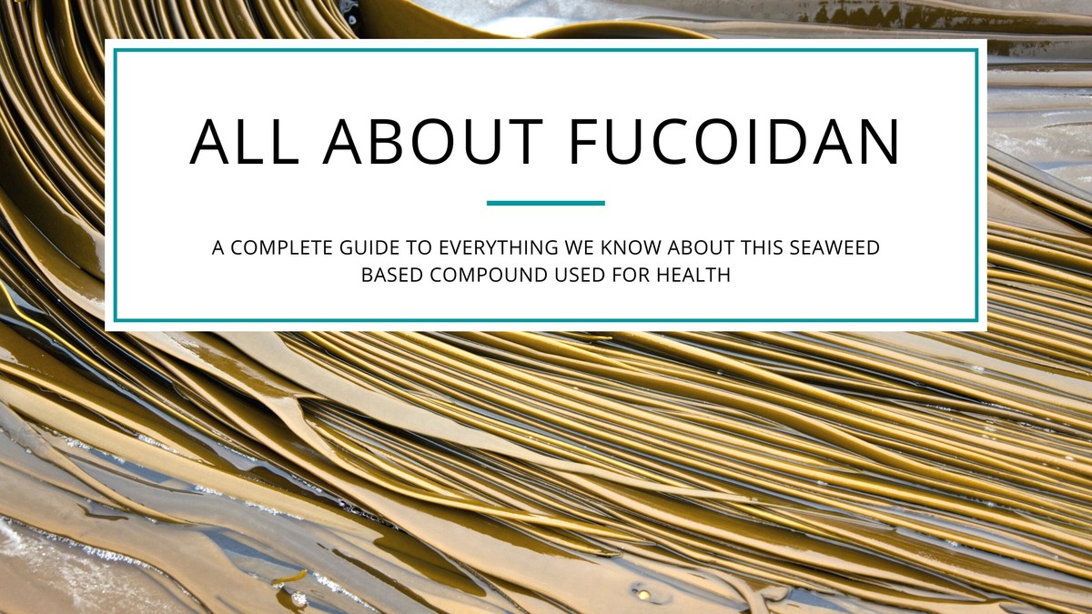 The Perfect Nutrition Releases Their Highly Anticipated Guide All About Fucoidan - Vimarsana News