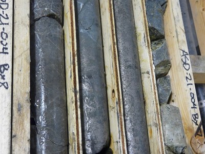 Figure 1: Drill core from hole ASD21-003 (CNW Group/Nickel Creek Platinum Corp.)