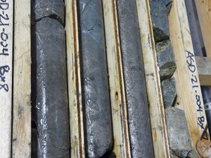 Nickel Creek Platinum Intersects Near Surface Massive Sulphide Nickel-Copper Mineralization