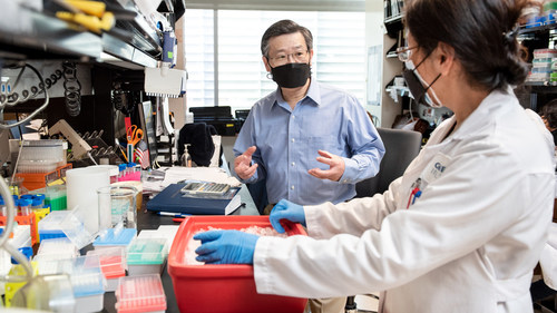Gladstone investigator Yadong Huang and his collaborators discovered that an existing drug called bumetanide reverses signs of Alzheimer’s disease in mice and may prevent the disease in humans. Photo: Michael Short/Gladstone Institutes