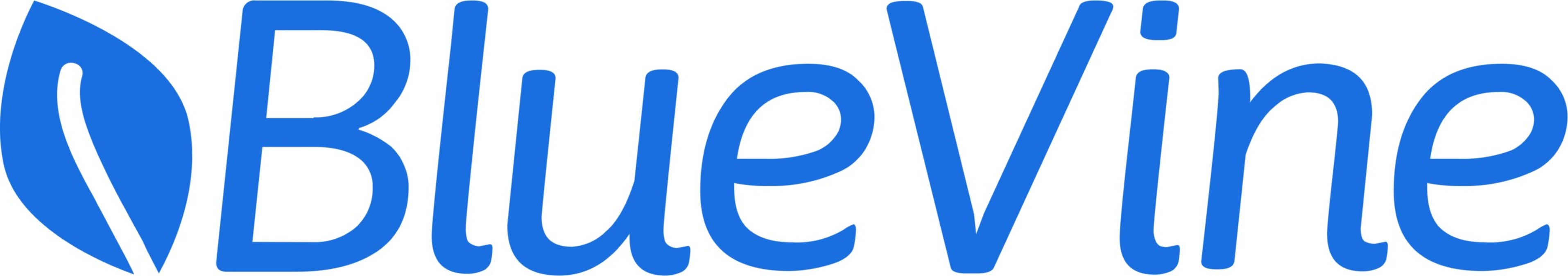Mira Srinivasan Joins BlueVine's Growing Leadership Team as Chief Risk Officer - Vimarsana News