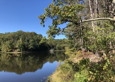 Brown County hiking trail, October 11, 2021