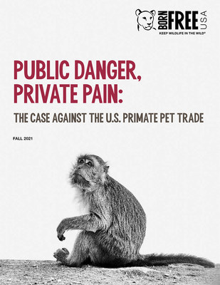 In a groundbreaking new report that brings together experts in primatology, animal welfare, legislative policy, law enforcement and the global wildlife trade, leading animal welfare and conservation nonprofit Born Free USA underscores the need for strong federal legislation to ban keeping of monkeys and apes as pets.