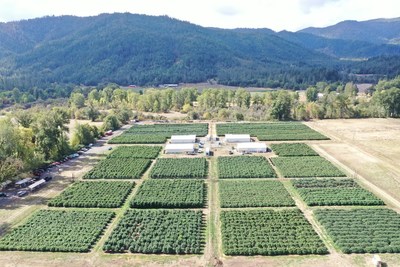 Halo Collective today announced a significant expected increase in yield and number of strains across its 11 acres of owned or contracted outdoor cultivation in the state of Oregon, which is almost four times the flower harvested at the Company’s owned or managed Oregon farms during the 2020 season. (CNW Group/Halo Collective Inc.)