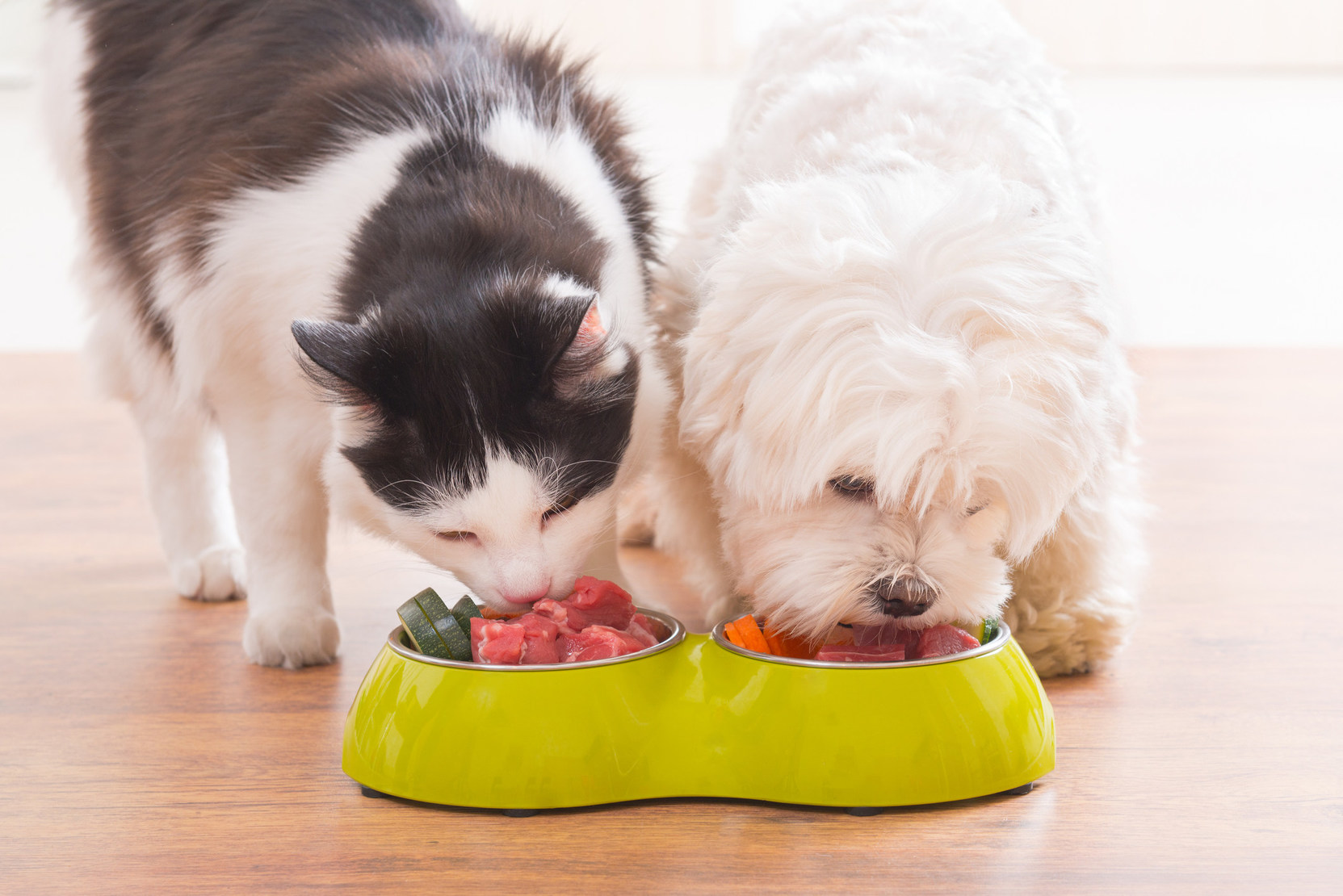 Increasing Demand for Premium Dietary Options Fueling the Global Pet Food Ingredients Market Increasing Demand for Premium Dietary Options Fueling the Global Pet Food Ingredients Market