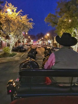 Holiday Horse and Carriage Rides in Visalia, California