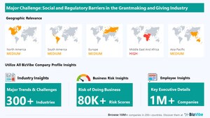 BizVibe Highlights Key Challenges Facing the Grantmaking and Giving Services Industry | Monitor Business Risk and View Company Insights