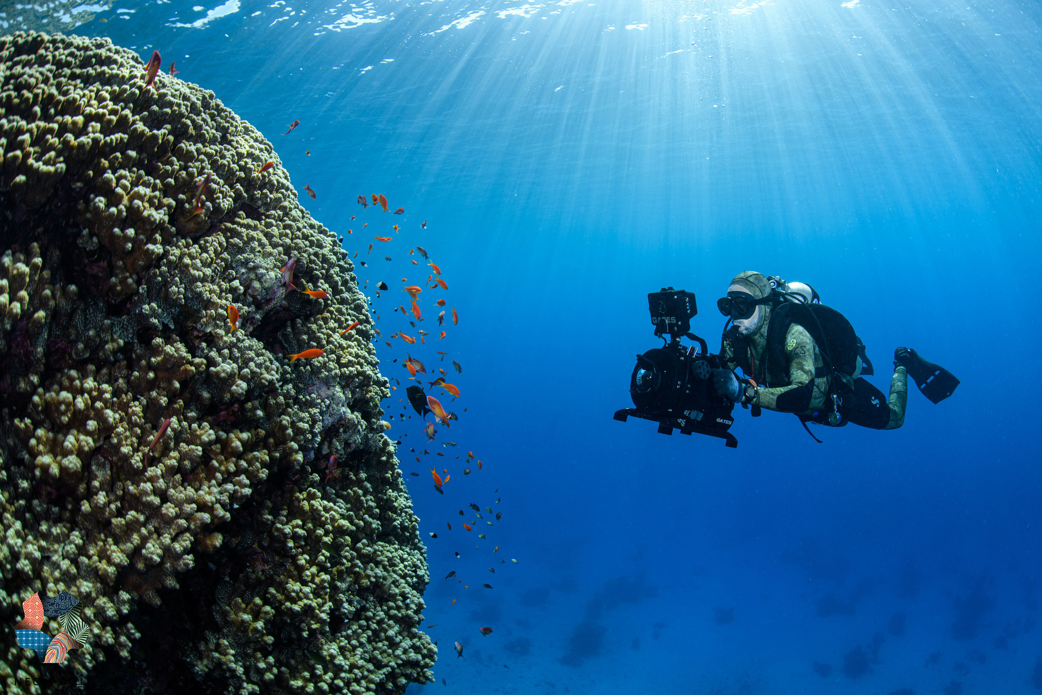 Красное море глубина. Neom на Красном море. Глубоководные соляные бассейны. Миссия OCEANX: на рубежах океанологии с экспедиционной яхтой OCEANXPLORER.