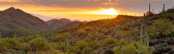 Douglas Ranch is The Howard Hughes Corporation's new large-scale master planned community spanning 37,000 acres in Phoenix's West Valley.