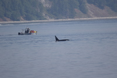 Photo used as part of the evidence presented in Court (CNW Group/Fisheries and Oceans Canada, Pacific Region)