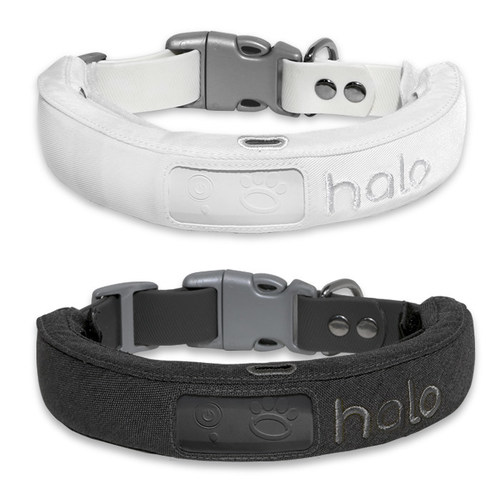 The New Halo Collar, the GoAnywhere Wireless Fence, Launches in