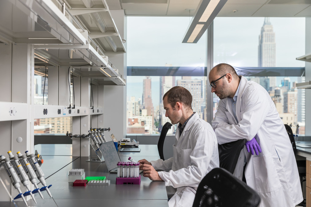 Gencove Raises $10 Million to Meet the Global Demand for Accessible and Interpretable Whole Genome Sequencing at Scale - Vimarsana News