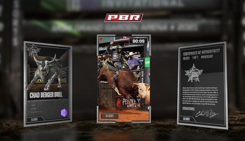 Preliminary design of PBR trading cards.