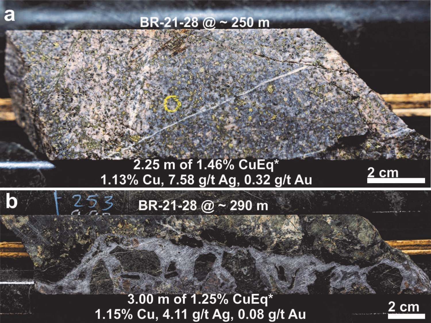 Figure 3: Textural examples of mineralization present in drill hole BR-21-28: (a) abundant disseminated chalcopyrite and pyrite hosted in an equigranular quartz monzodiorite,  and (b) blebby chalcopyrite and pyrite hosted in a carbonate-rich breccia vein with chlorite-rich selvages. (CNW Group/Libero Copper & Gold Corporation.)