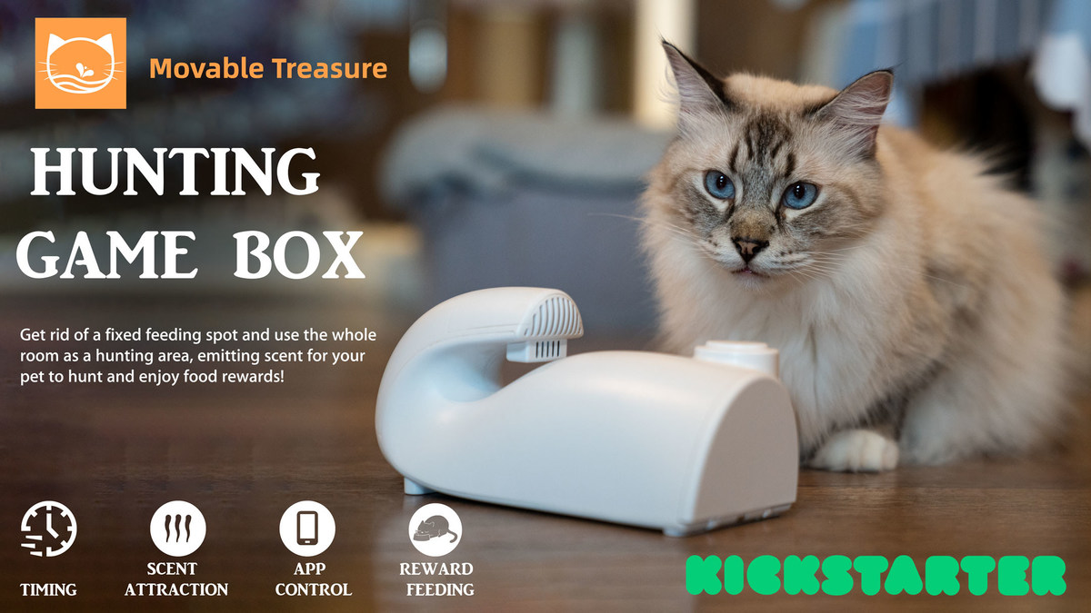 Cats Are Depressed by Not Being Able to Hunt - Luckily, We Can Simulate a Hunting Experience - Vimarsana News